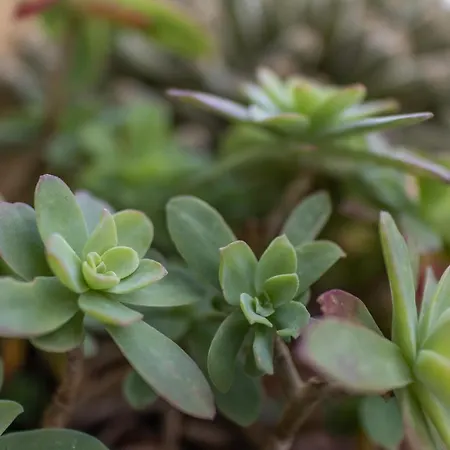 Bed & Breakfast Giorni Dipinti 3*